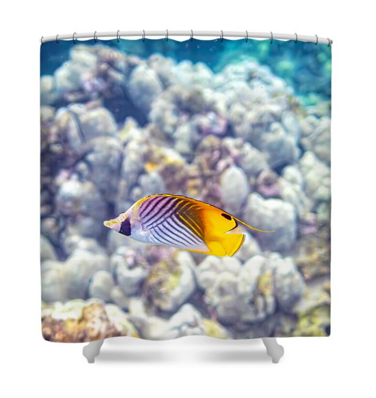 Shower Curtains