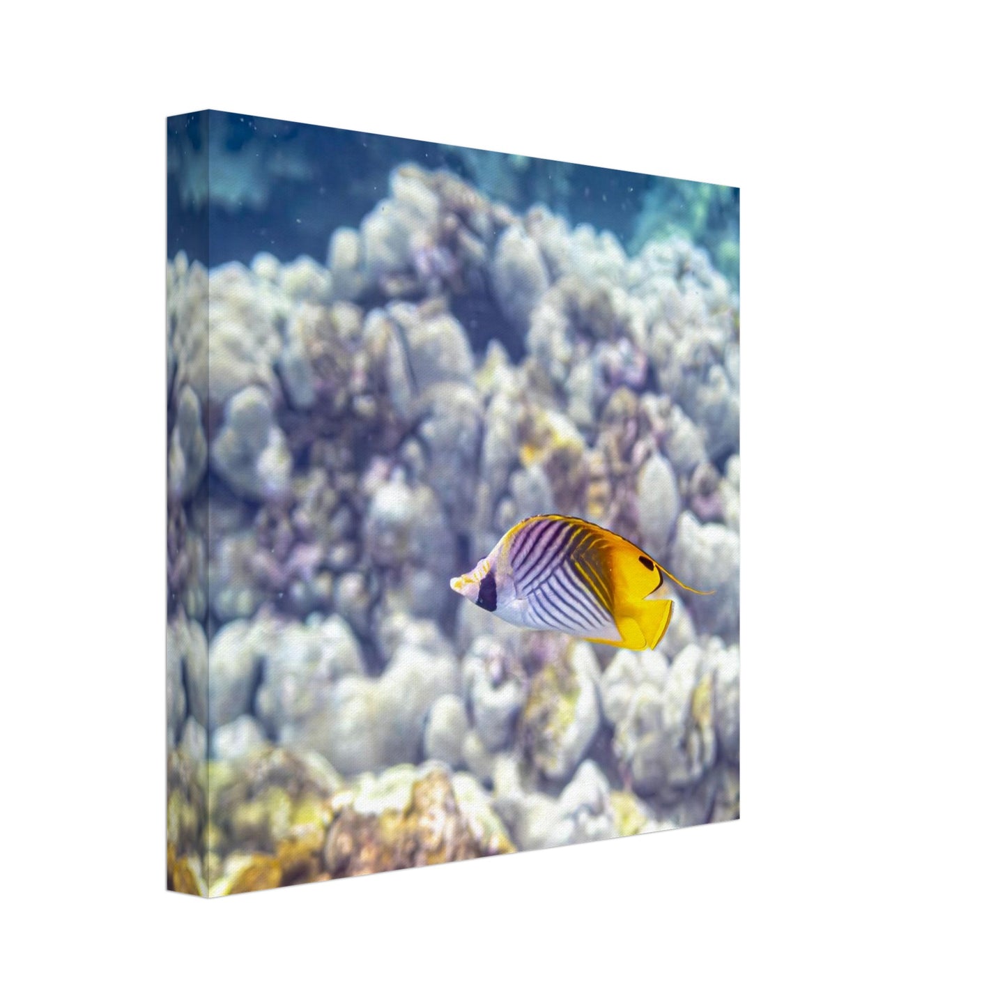 004cfe8d-d76c-4a31-aac3-d0babe785313