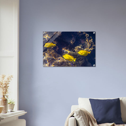 014c4ad8-ba4b-4419-8f3f-a0b581e329b7