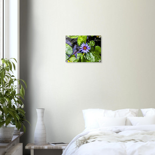 014dc4c4-1726-4cac-b12c-75f1c1d0148a