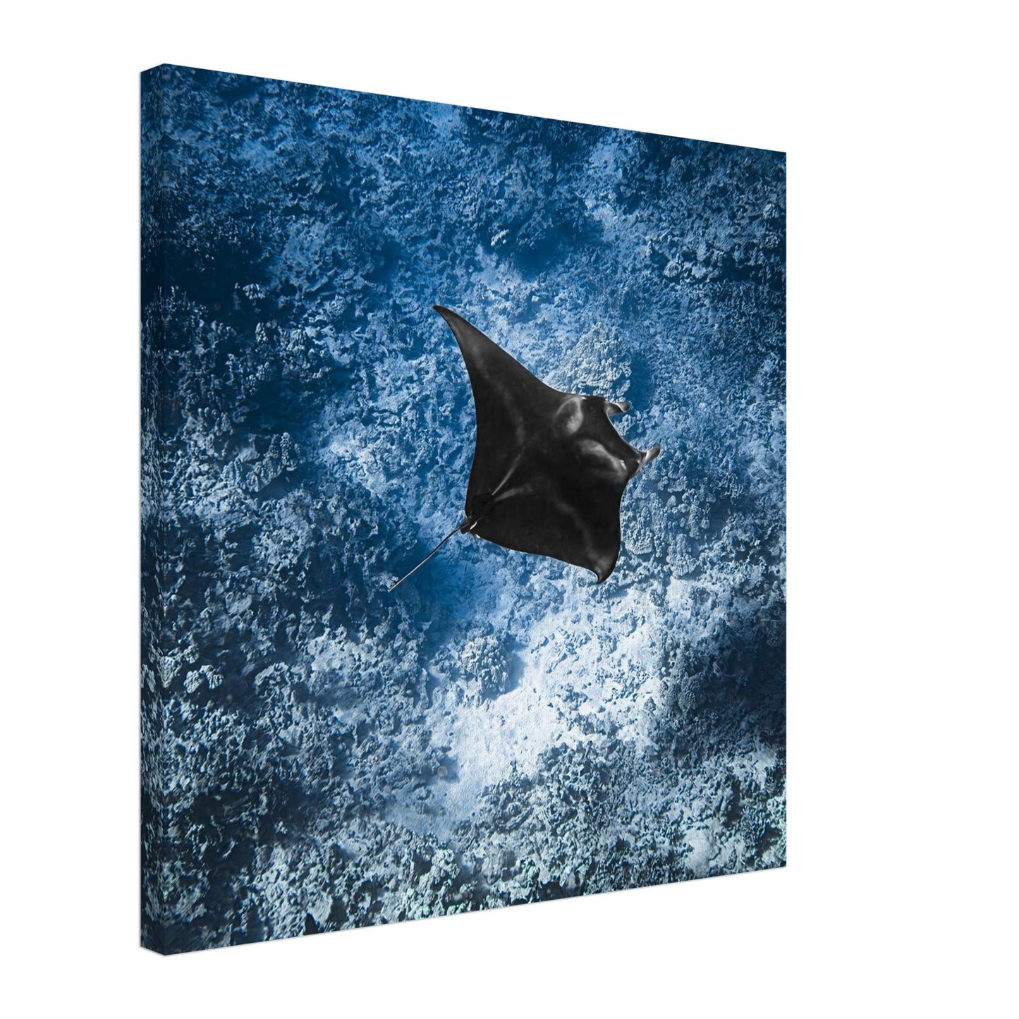 025a1bbb-46bc-4049-b5ea-5aaa5e04a407