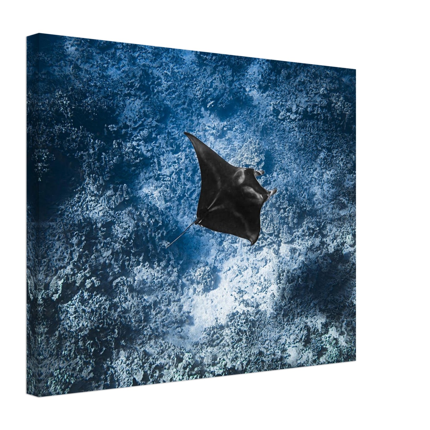 03137af6-a5b7-4a3e-977e-3c06f2c4c9e9