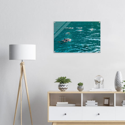 05018805-57bf-4827-a31a-3b97bf412f3f