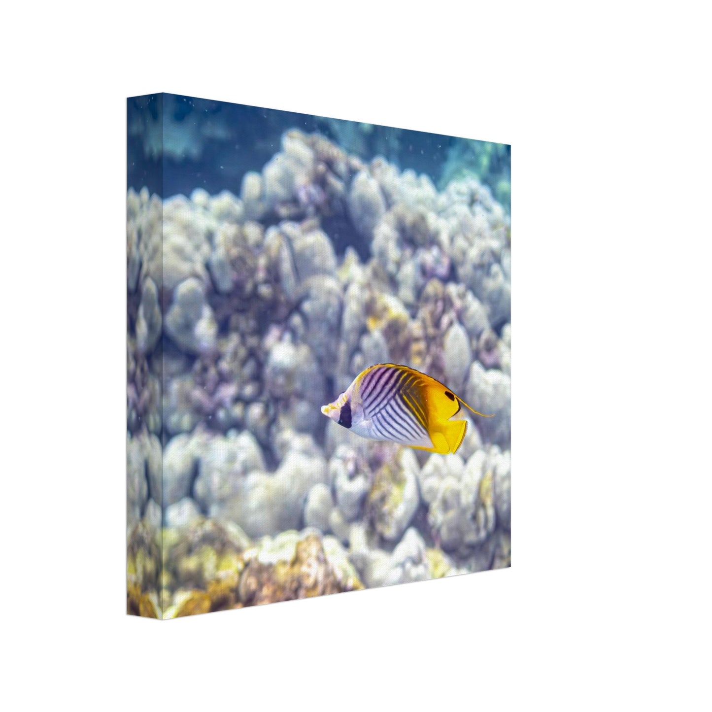 071cb9b2-621f-4a49-99a5-83915a373cd2