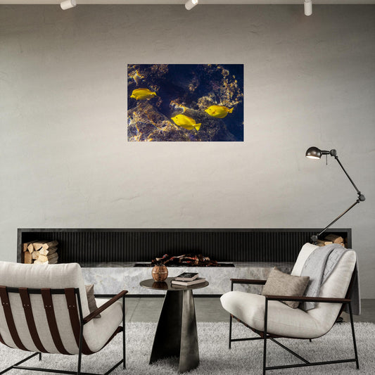 087a142f-f216-4fd6-9a86-3ad28a76a612