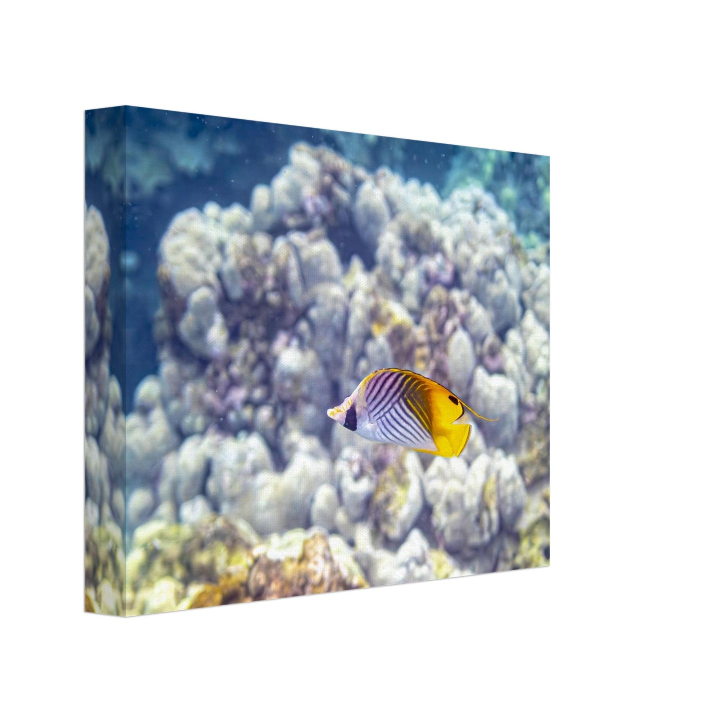 0af9cd2c-c974-4246-8067-d8e7bc7f7ff4