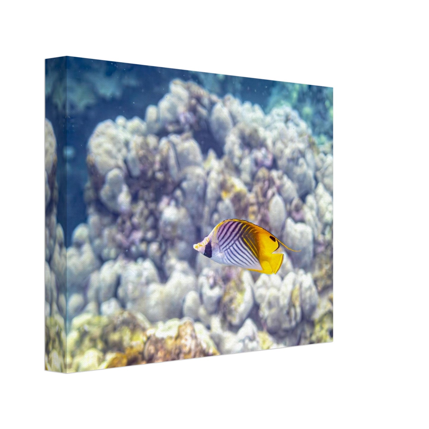 0b7d2ac2-254f-4510-8865-c81a4c72a78e