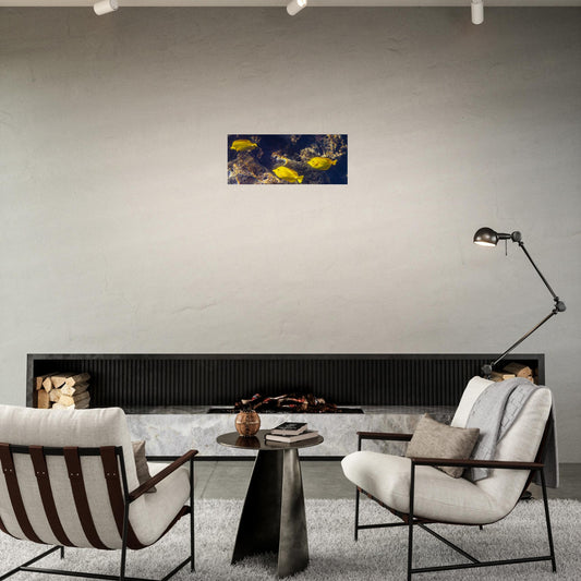 0e8e51a2-568d-43bb-b80d-cd7a5bc824fd