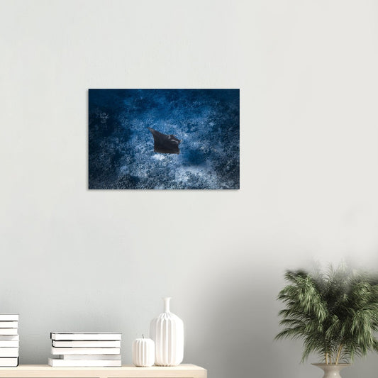 12549205-46f4-442e-9a12-2ec70bd33539