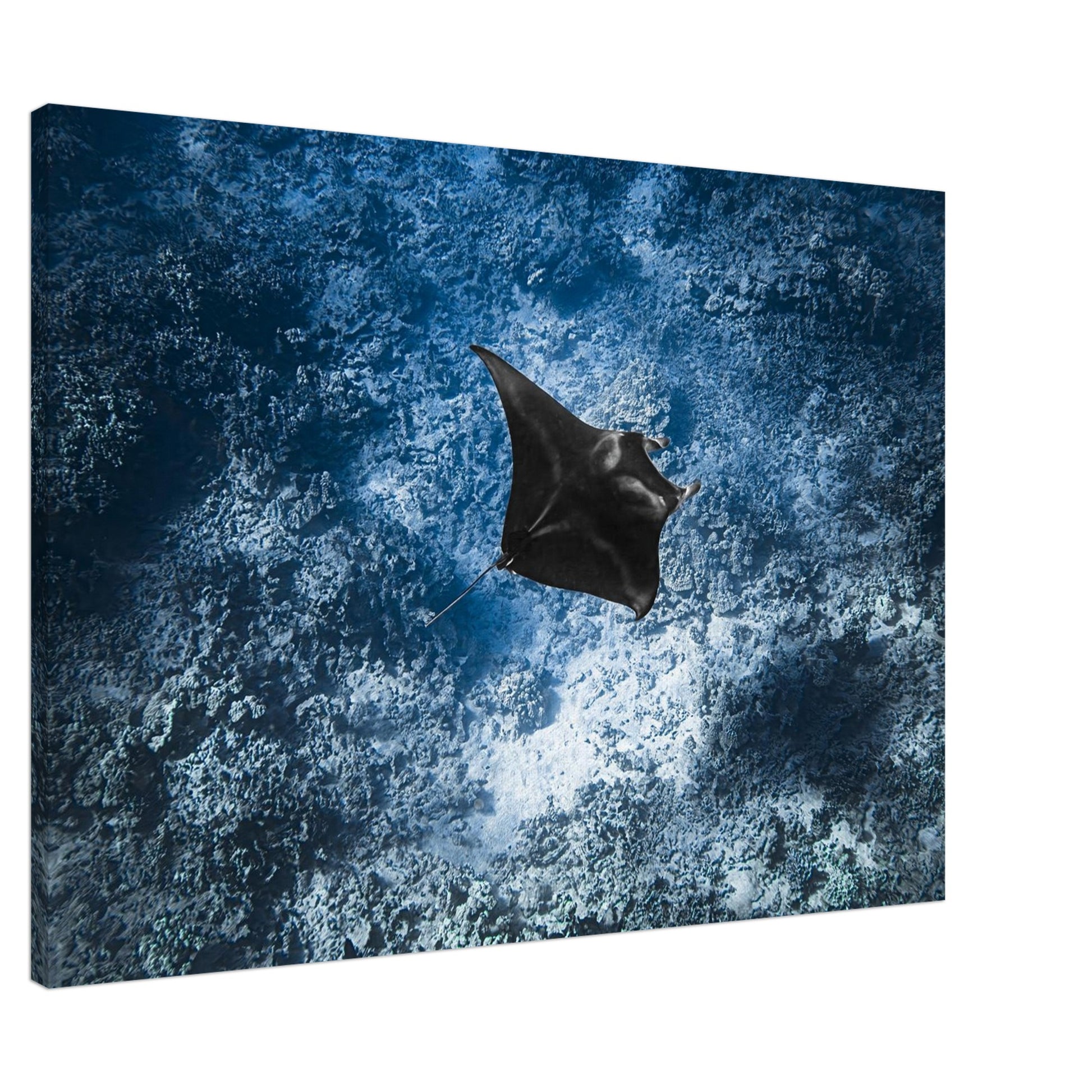 12d10dd1-e273-44d4-8f21-13e64554485d