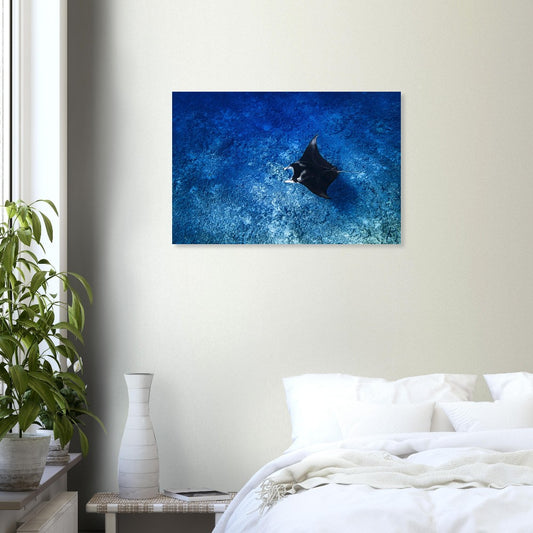 1360b468-233e-47e8-99b0-65c764e91cb9