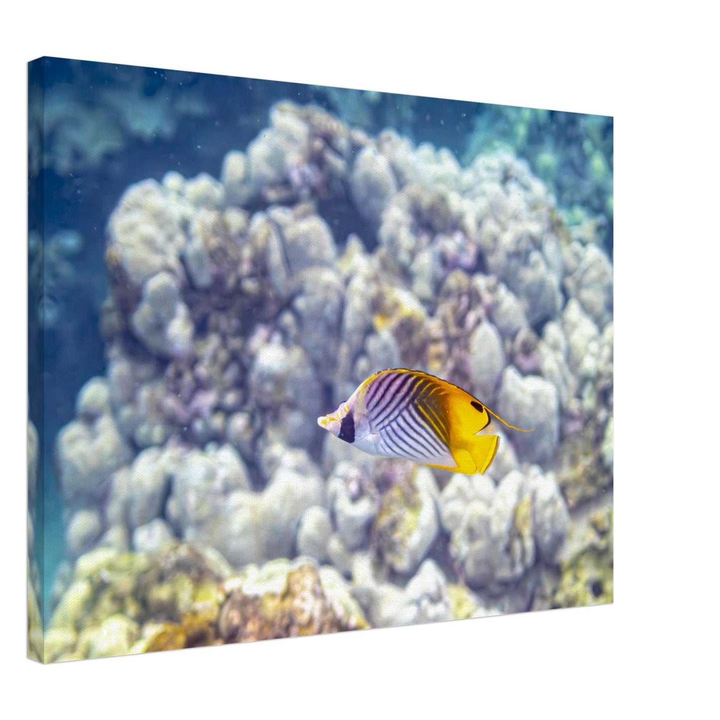 160fdf92-4b81-49a4-b7a9-779f40dba448