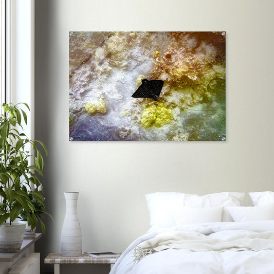 161b436b-8c7a-4bb0-92f7-4c749c2ef7fd