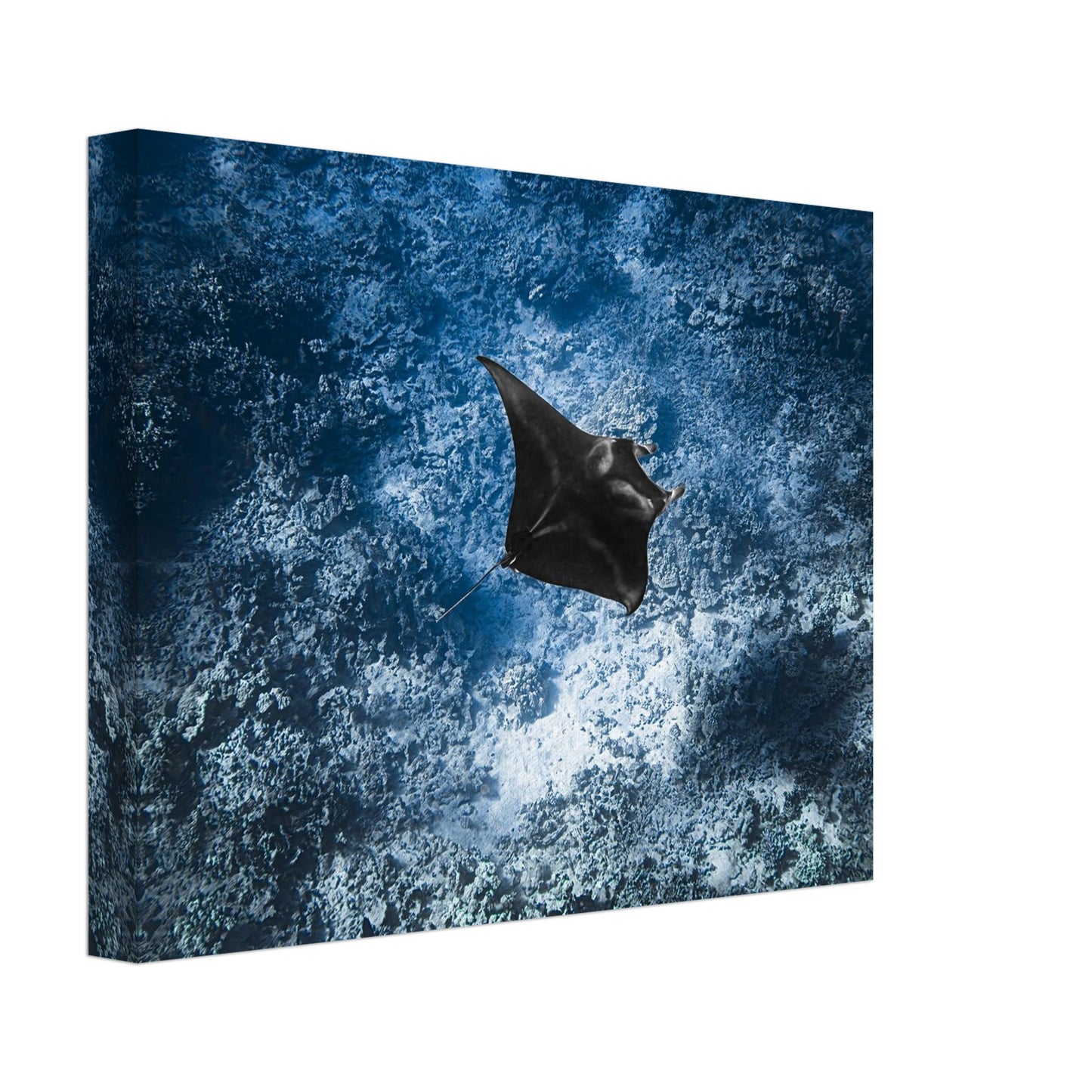 16238ab5-783d-4853-9e51-c0caf59df6e3