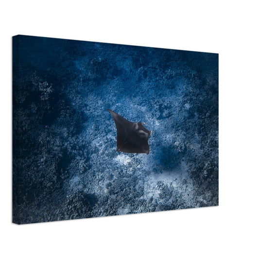 17ae2388-2268-4212-bf91-d4ca4c044fc9