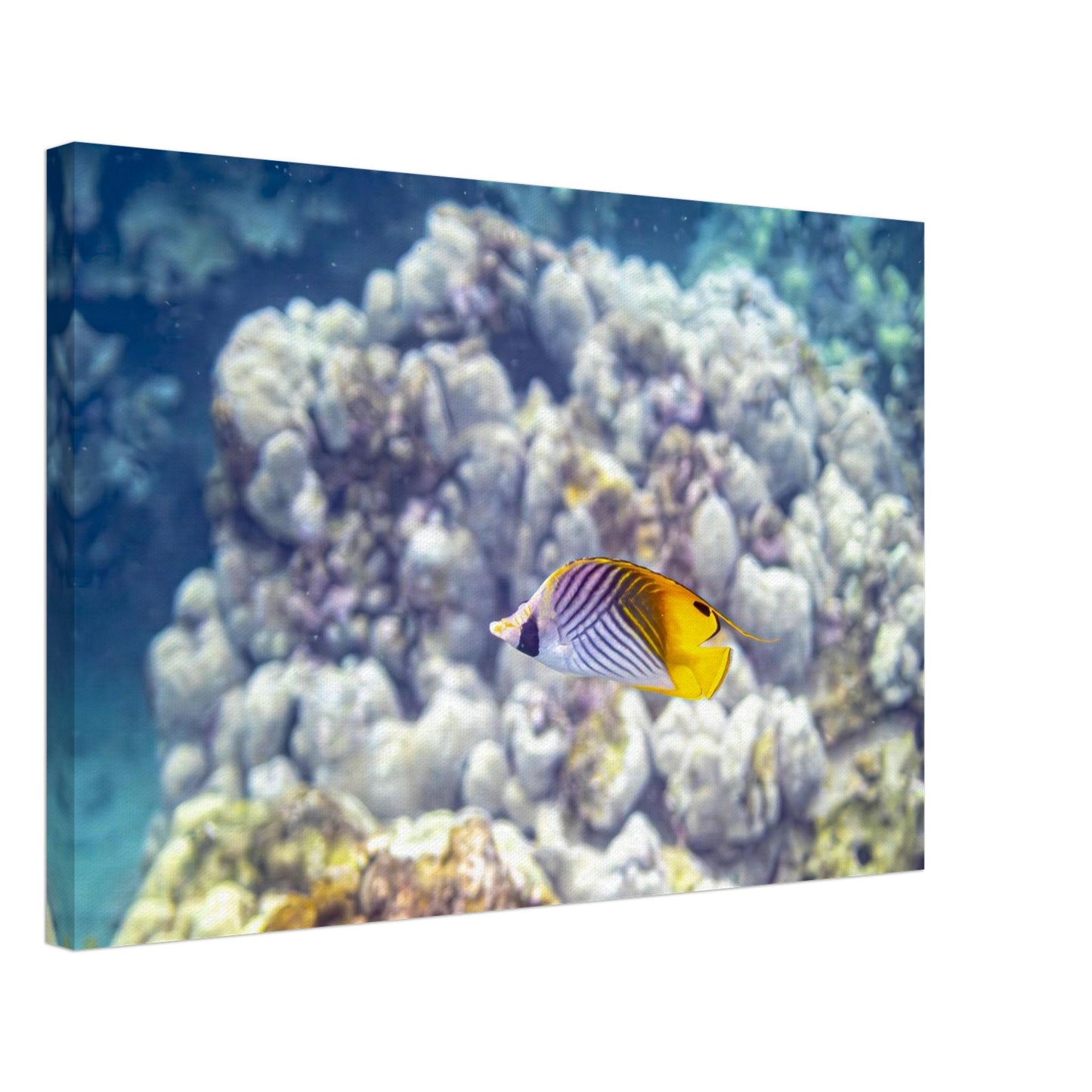 17c531ad-c109-485c-98b7-d6fffb73ebc2