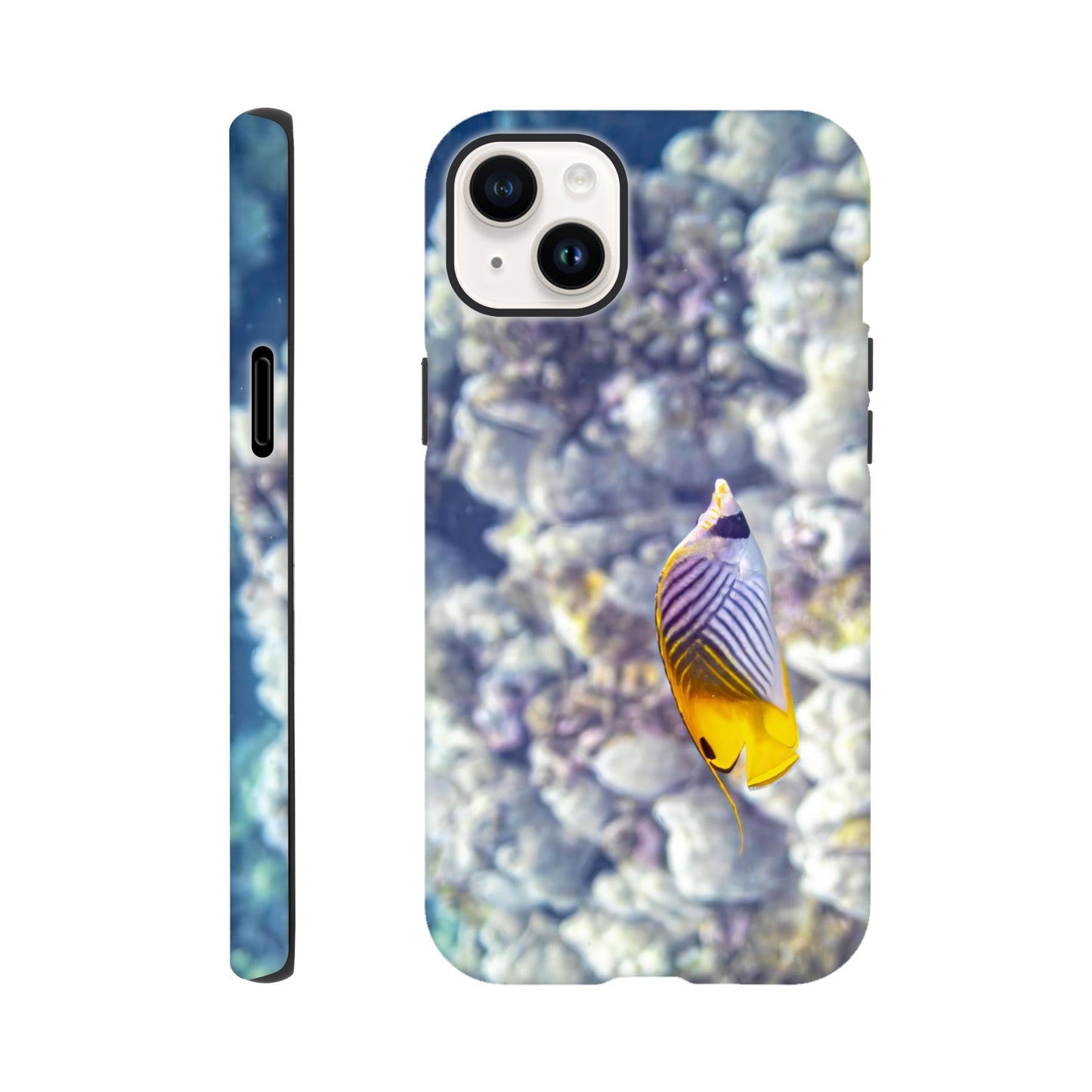 1d186d10-e8ec-41f2-85e4-47d5dad7f48c