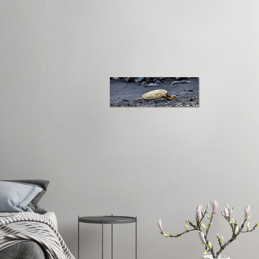 1eed55d4-43de-4131-978a-bf6e0a61cdc8