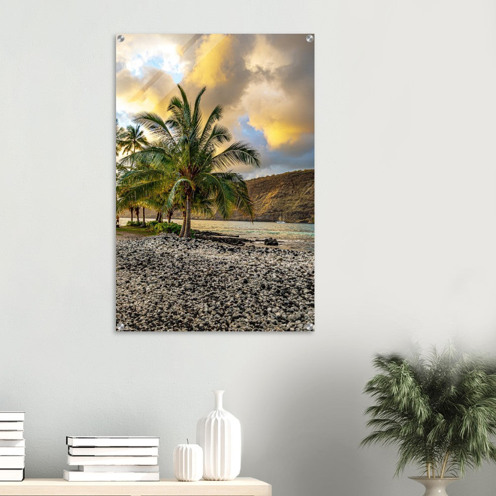 1fce3350-c4aa-4d6a-9a51-17261f8b7519