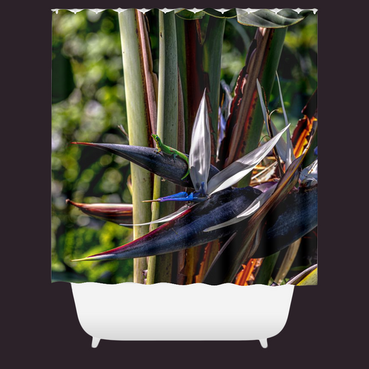 Gecko Smiling At The Sun On Bird Of Paradise Tree Shower Curtain