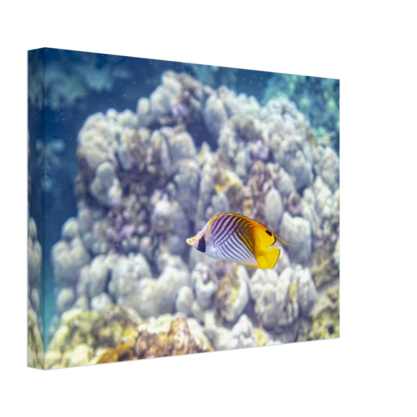 20b9ccdf-20ee-4dc1-b802-48df9c76c660