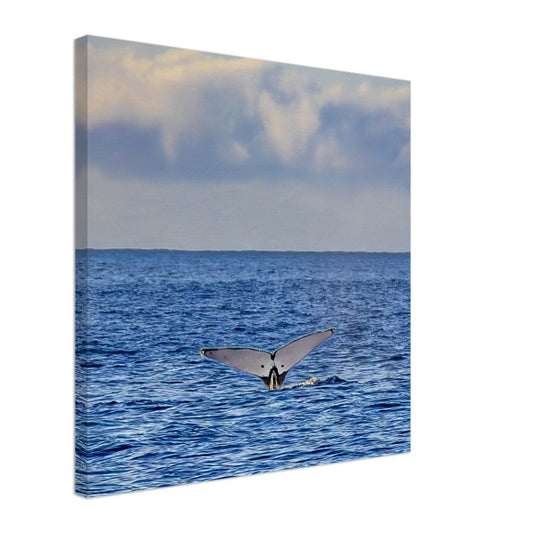 2159c2a6-d804-4132-bd12-a6bca8d1561e