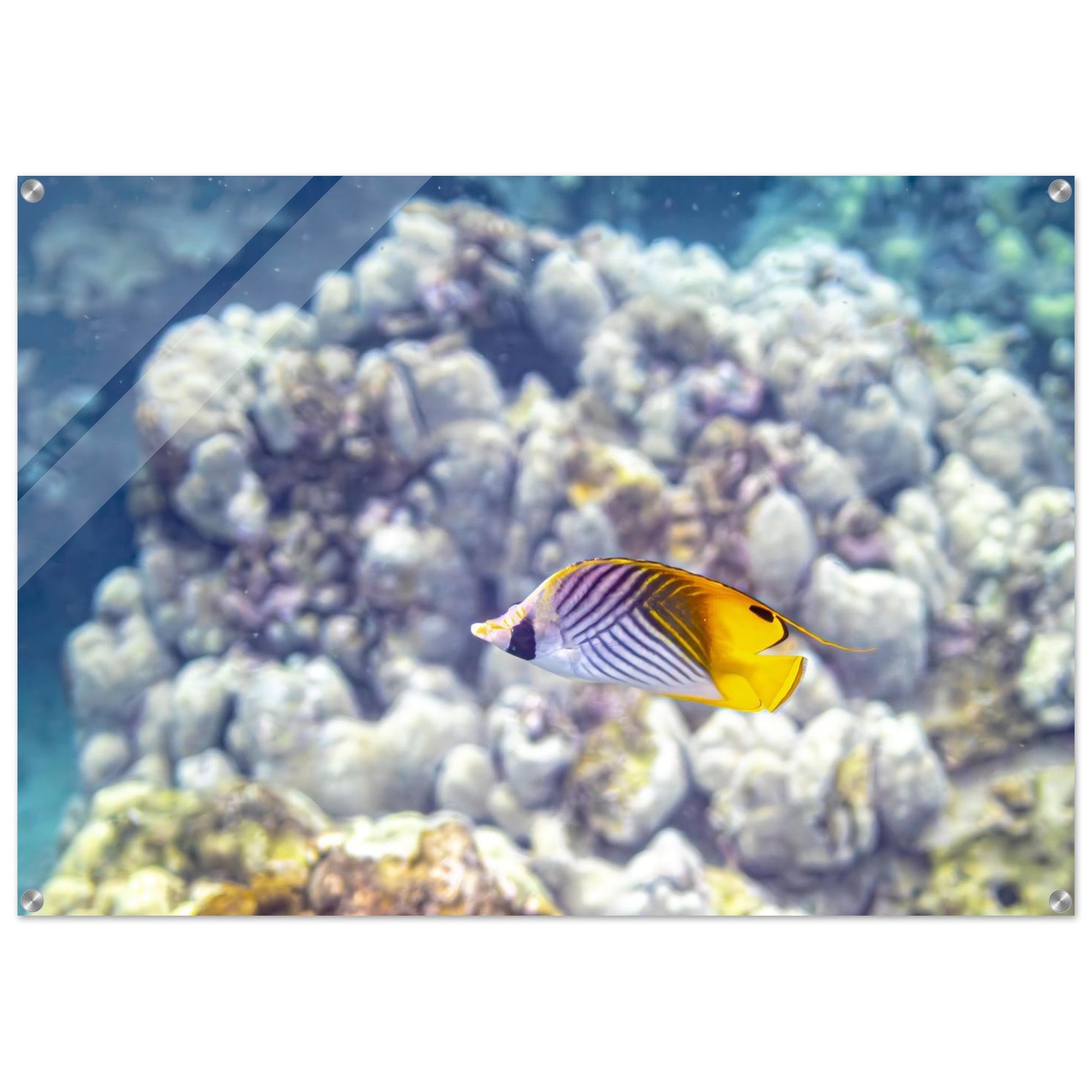 216bf654-b7b2-4246-8930-def935b0eaa8