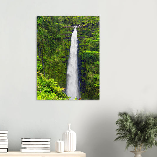 238ce87b-30be-4208-8393-8c9e52e00a8e