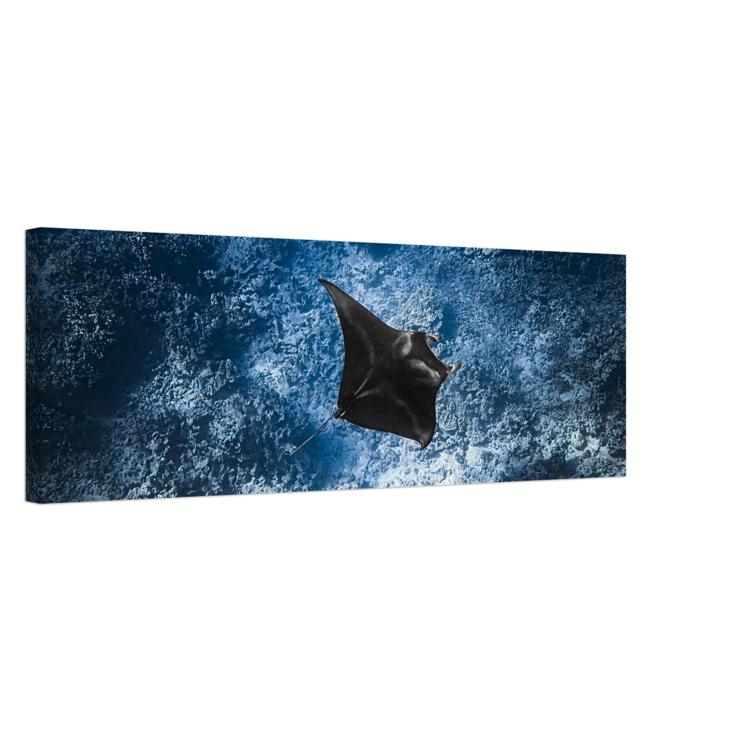 24281fcf-24b3-42ad-aefb-7ff8c8f10e9b