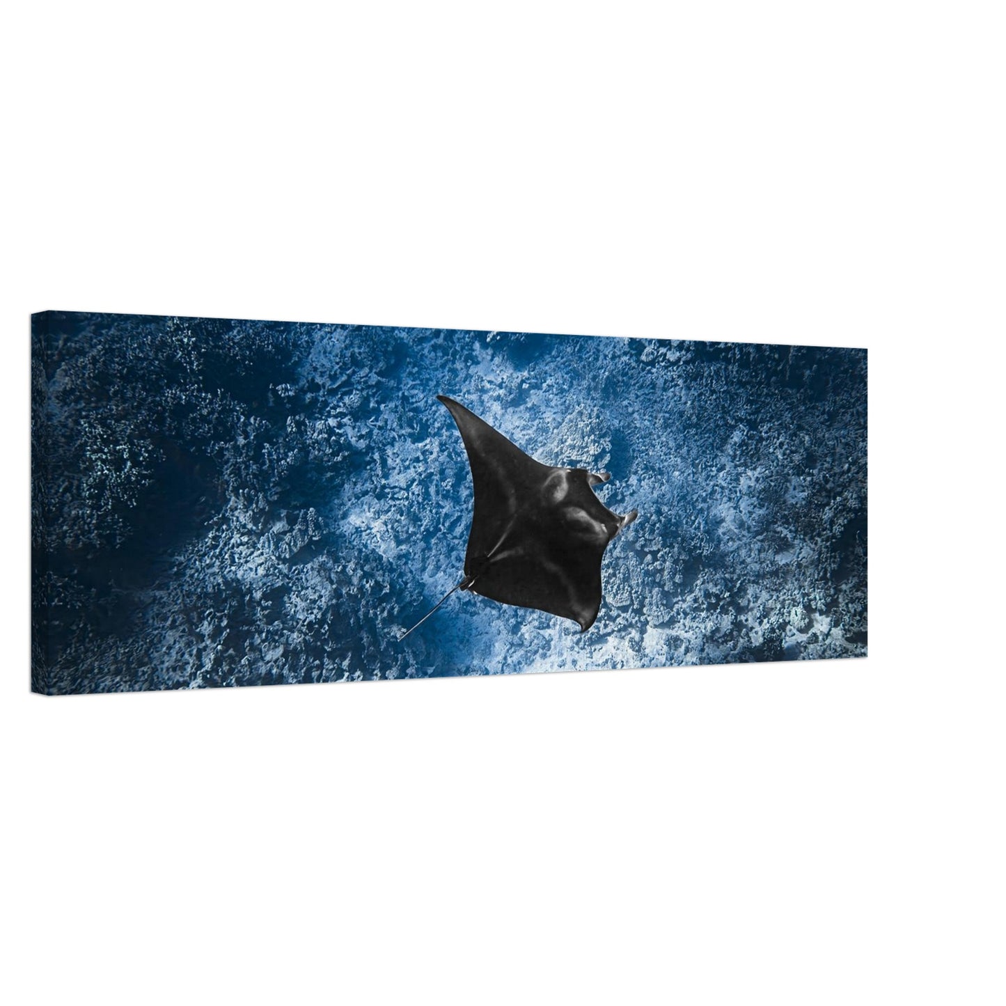 24936115-6228-414c-8365-4af0743f435f