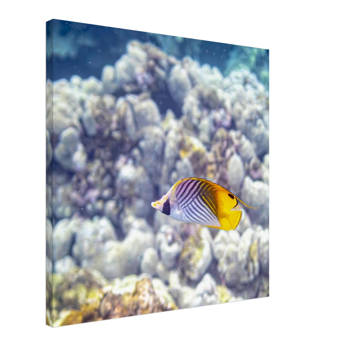 299cdd92-c876-421d-bcaa-b1bfb28cea74