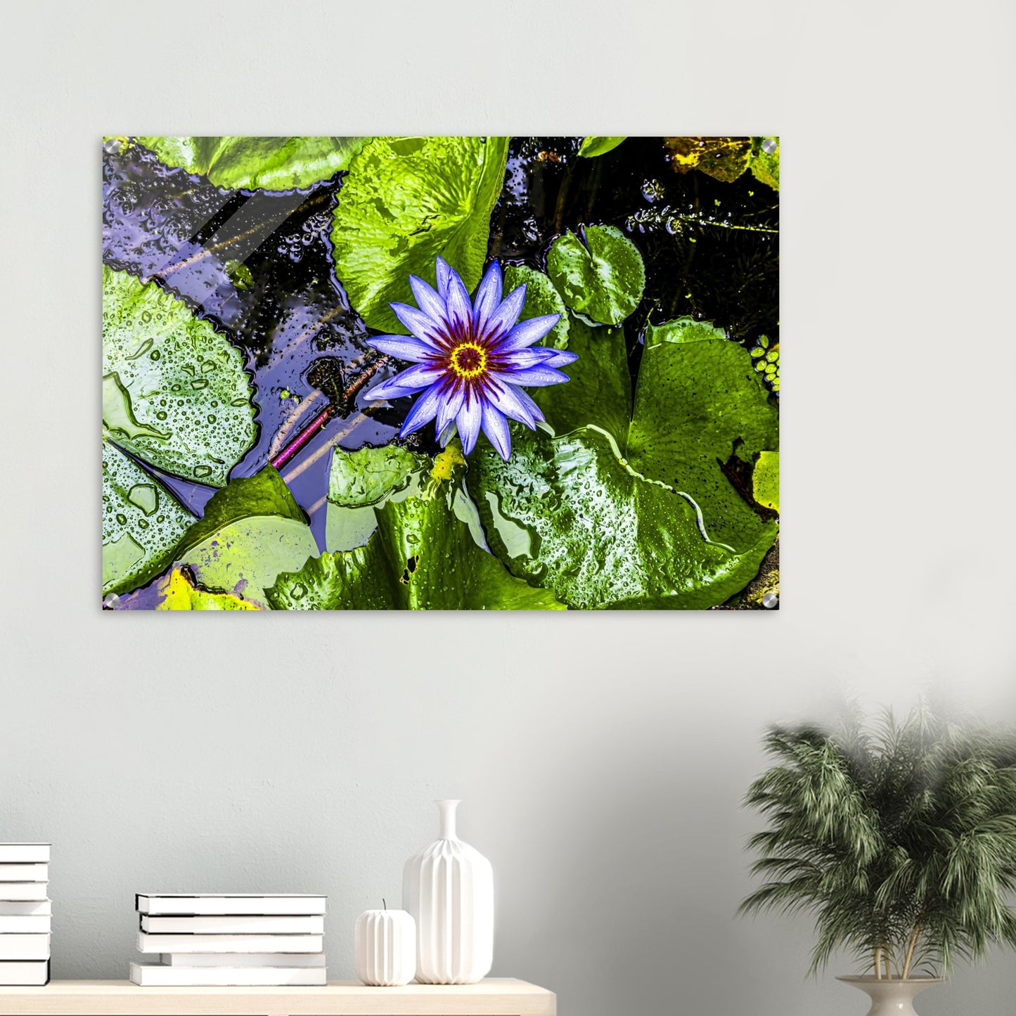 2c853a52-2d98-4f94-adb1-5caf7f858202