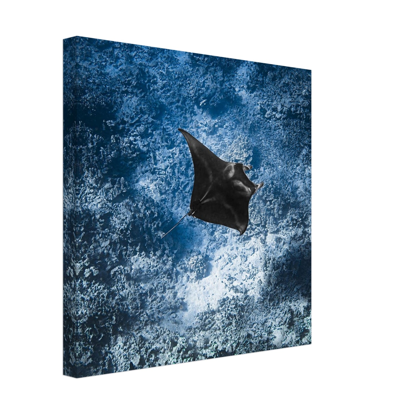 30b829d5-4701-4d2b-bb47-5804b48eba53