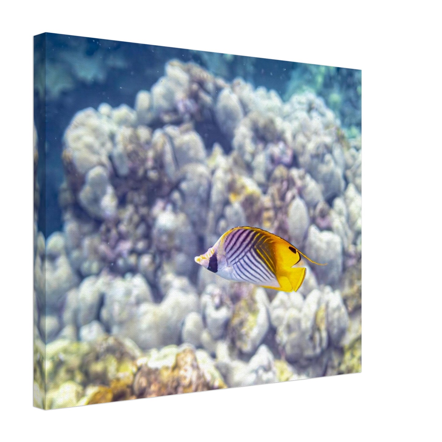 34026e8e-dd50-4cd6-9662-f236a893aceb