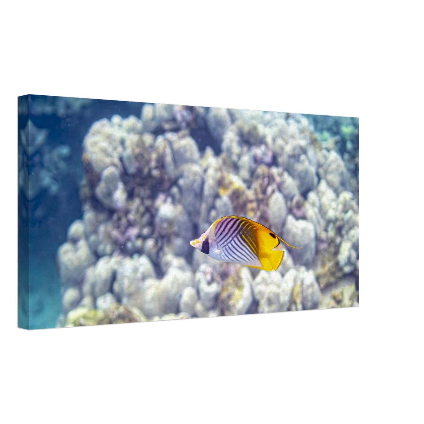 36029348-45c7-4677-94e5-f8a7ac92fc5d