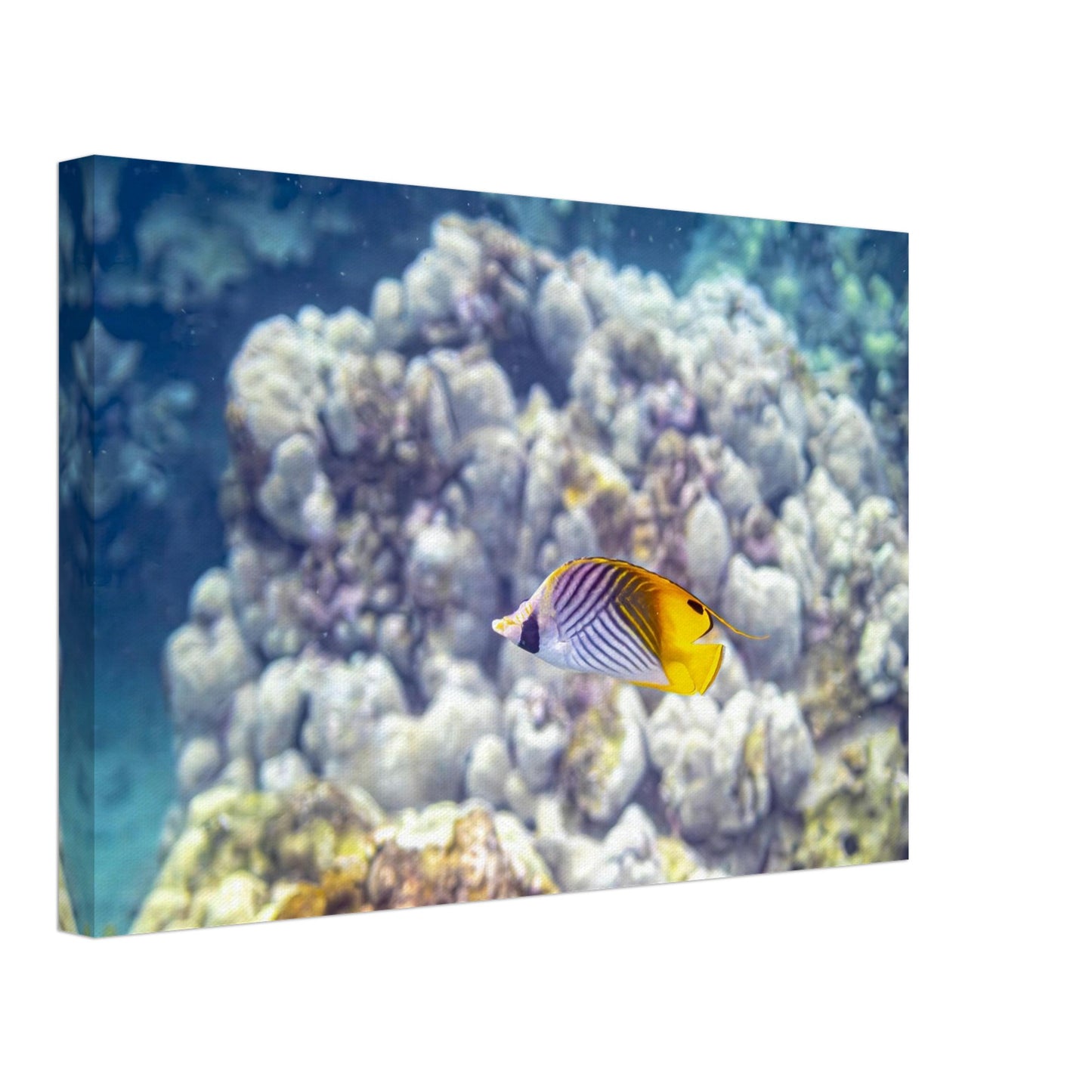 3680d7d1-7a68-40be-81d8-c0fc2a0c2cfa