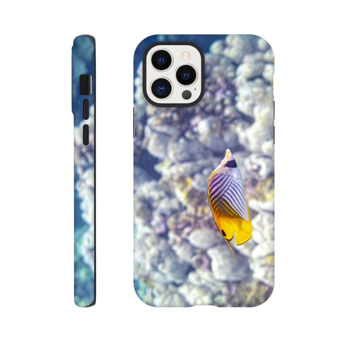 36fbef66-79cb-4f3b-87bf-ced4fe84dfd0