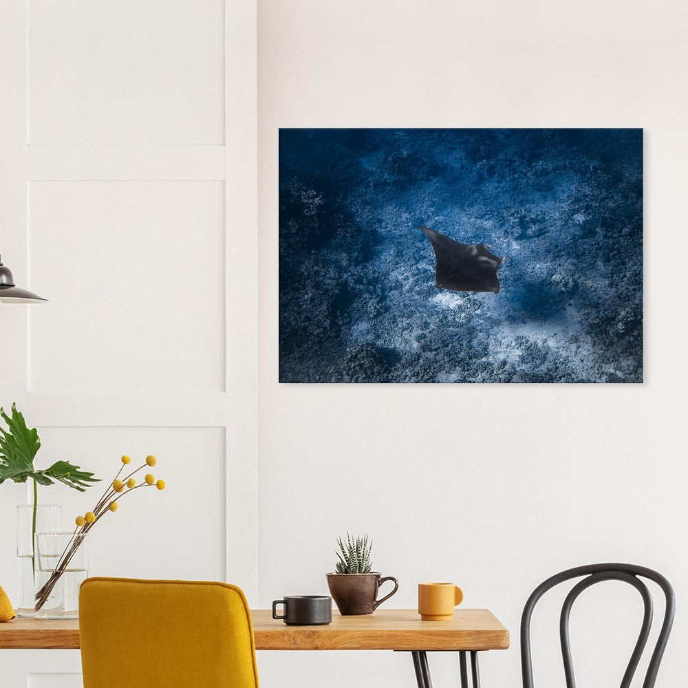 38d9e74d-ca54-40b6-9900-15ce4f7f2f4a