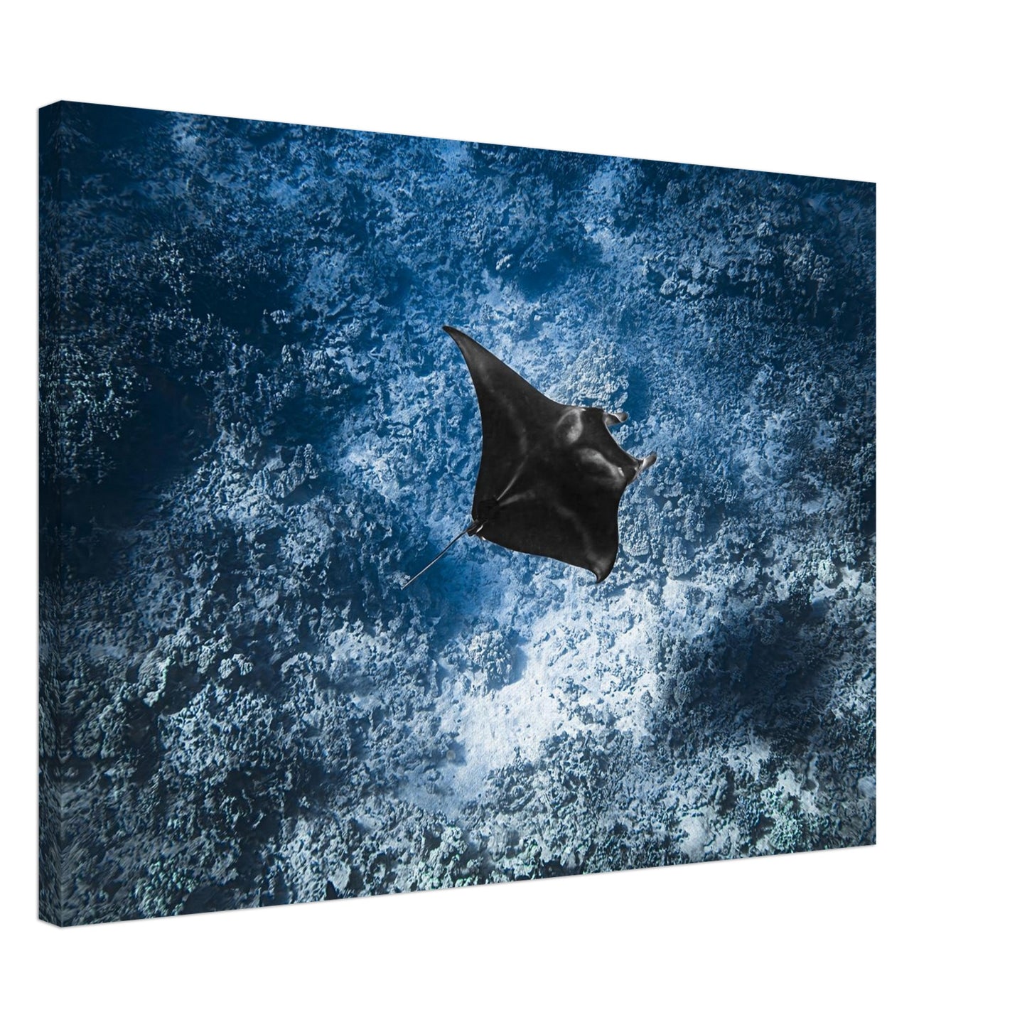 3bf871b9-dfd1-4aaa-8da7-f2e2334c932c