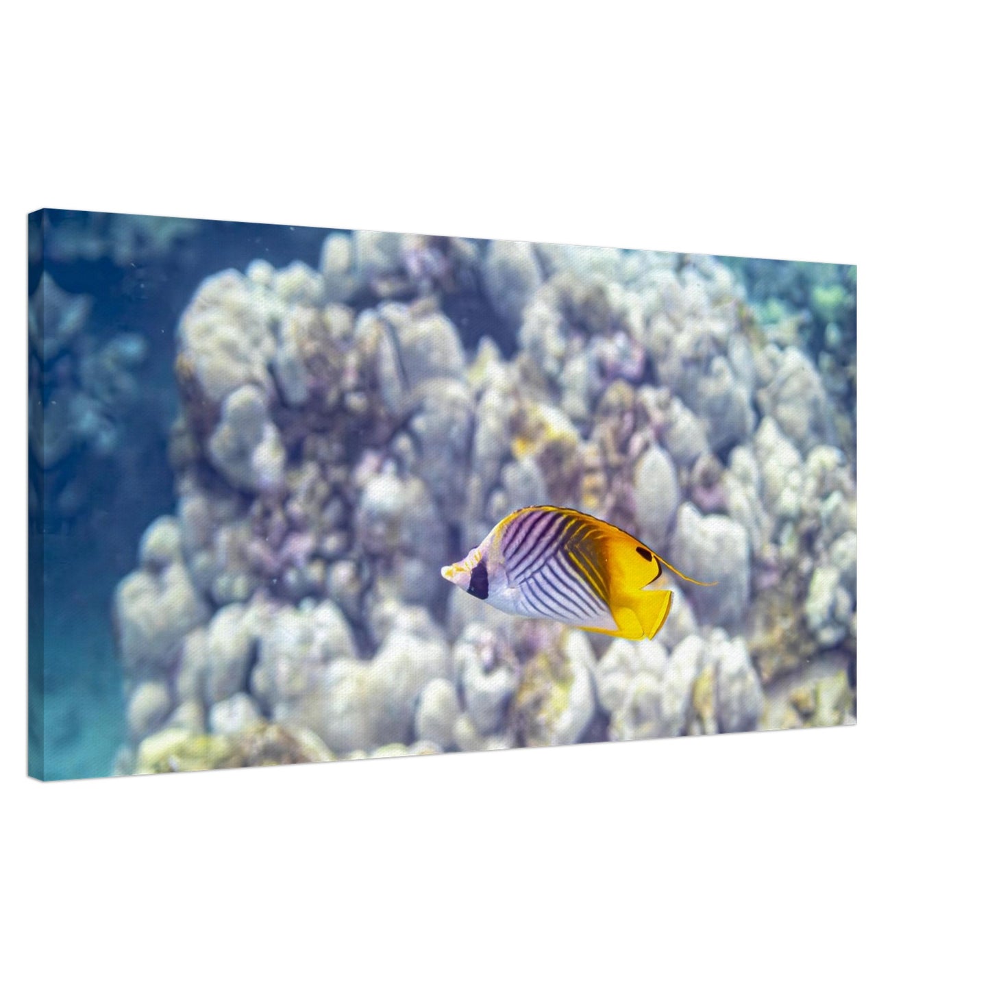 3d38be5b-e530-4e0e-ae2b-da5ba63e87d8