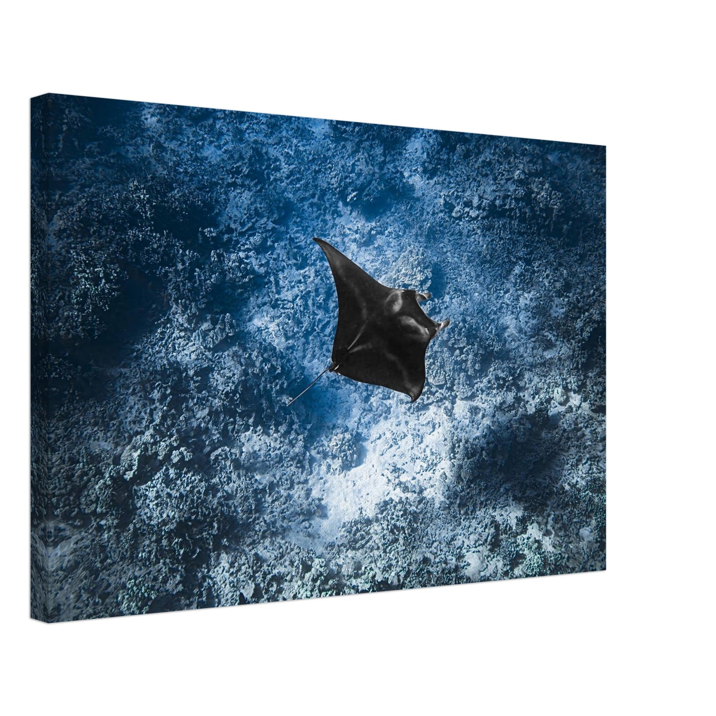 3d3b54d8-fe8e-4f67-8ff2-69241666734a