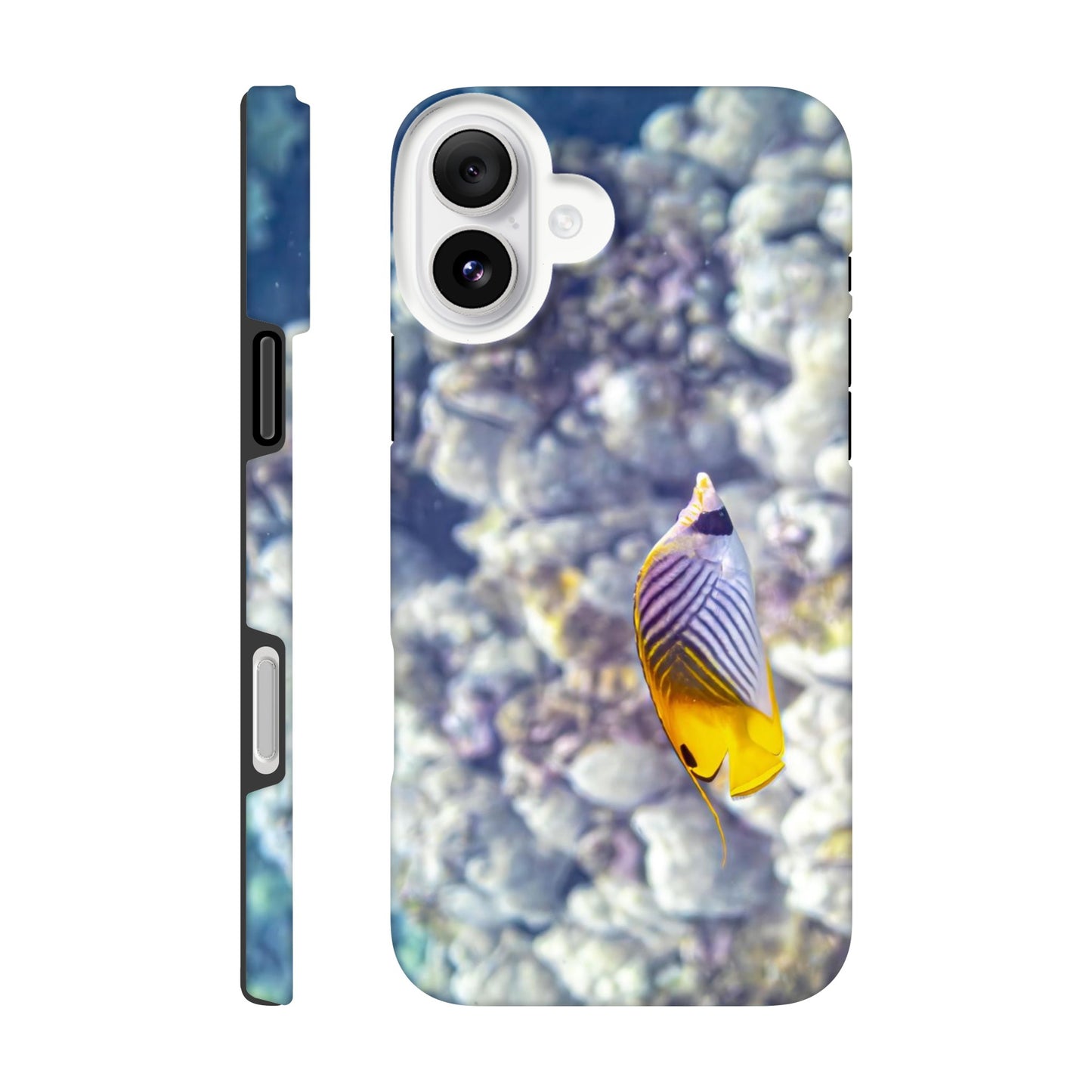 3fa5d122-d080-4a01-b723-f251d8077ce6