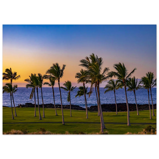 419c89ff-8e2f-4a2f-9a00-b797aeedcc65