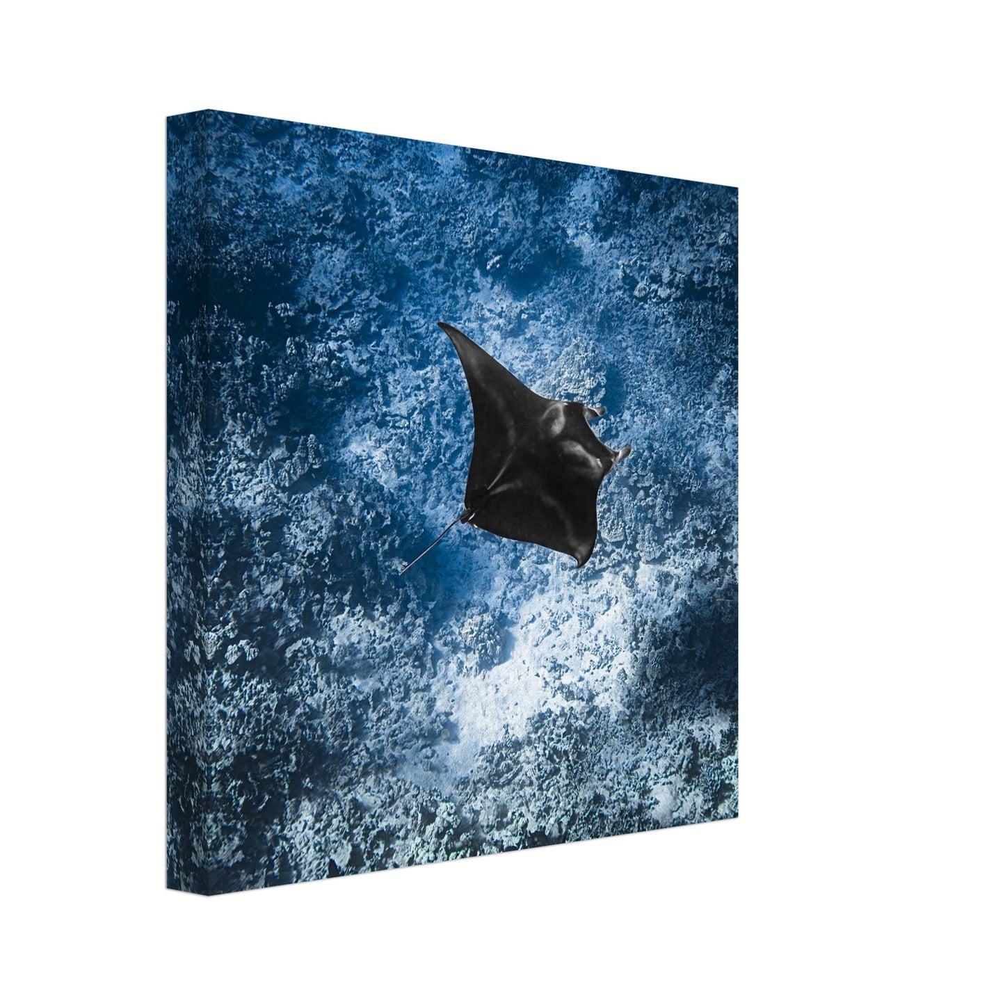 42508c3a-9ecc-4767-8be4-1f710e198874