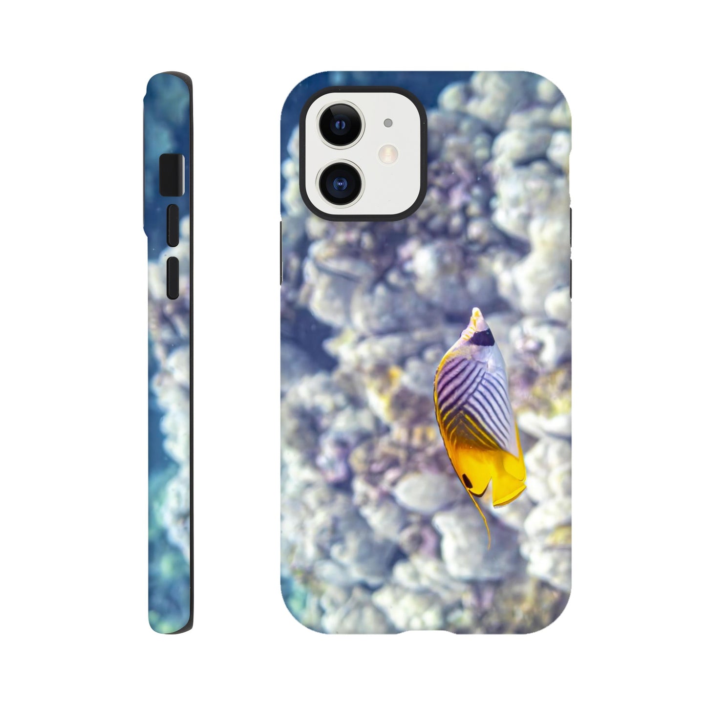 45a09e1d-ed50-4557-9158-4b899ec9dcf3