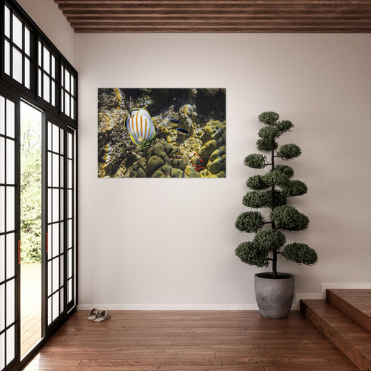 45a17f92-ae65-43da-9c6c-f78795a5eeb6