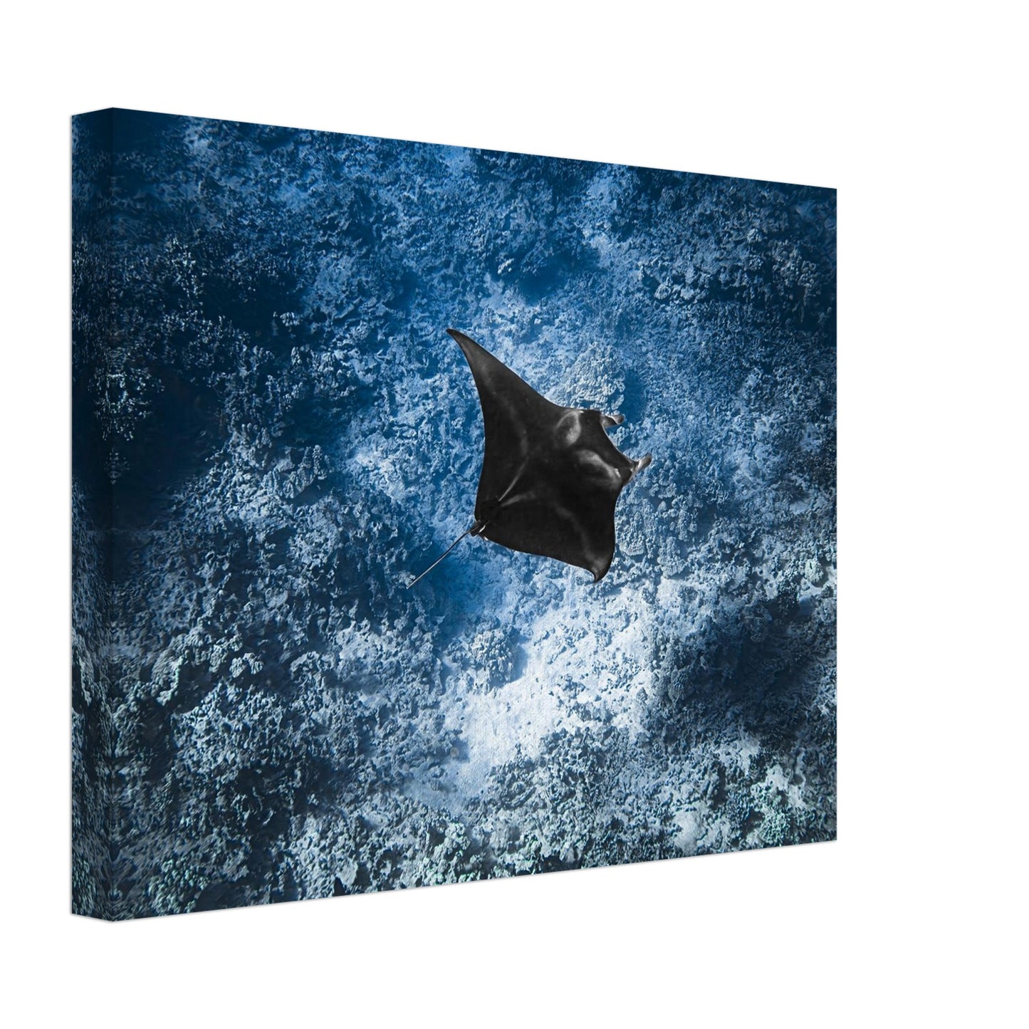 46d84a94-1c62-4426-80a2-b7354fc986e3