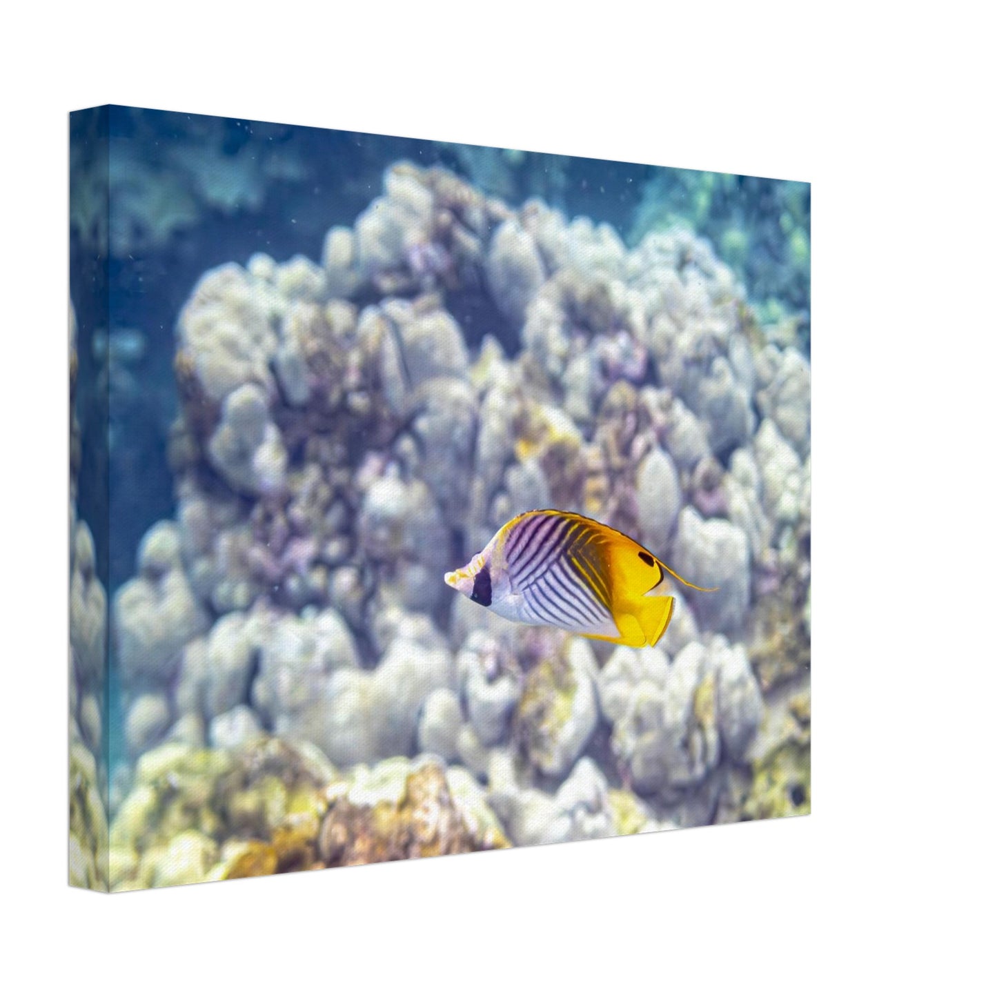 471ee7b0-015c-4ff5-b836-753c8f6a913f