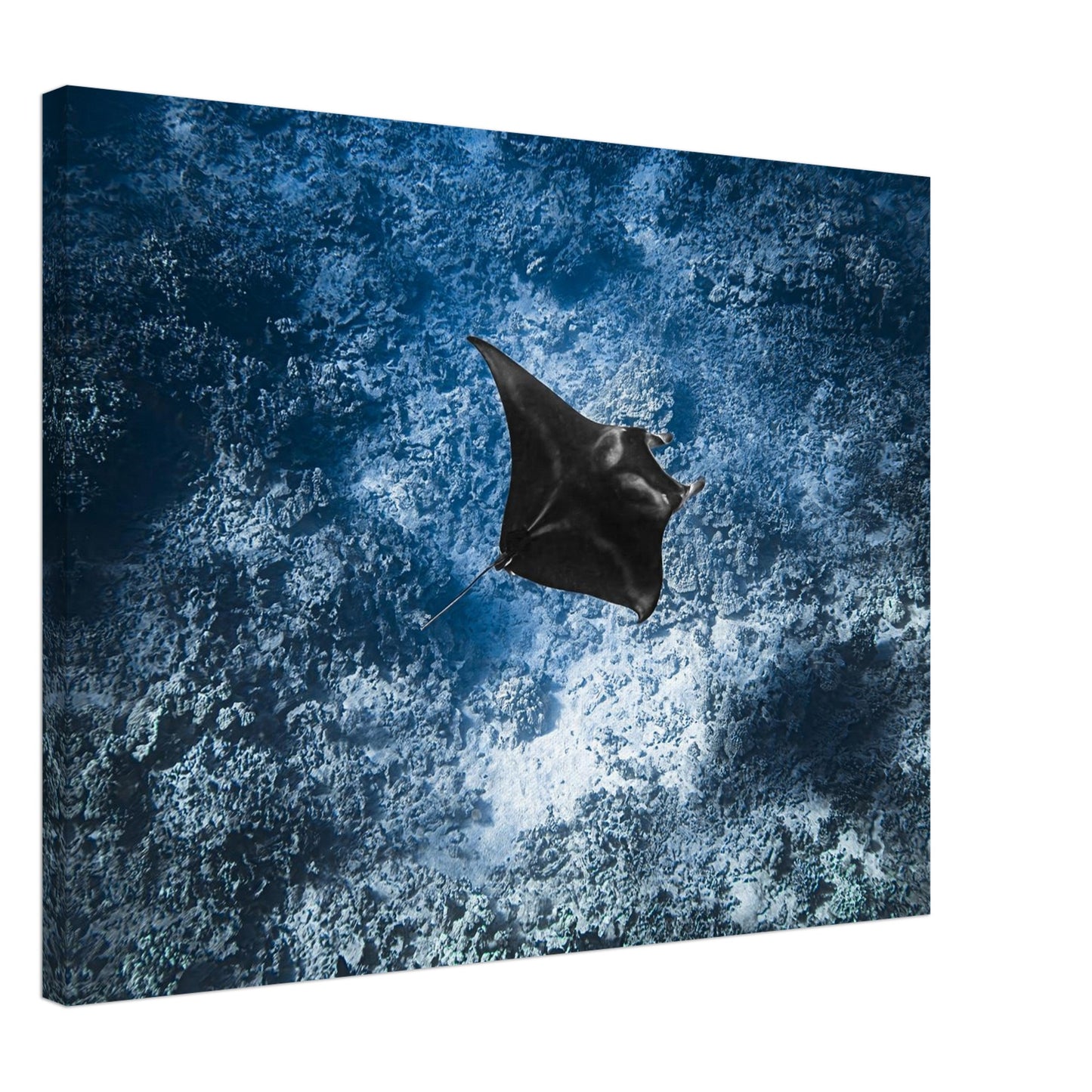 47248950-e260-448a-9d52-65cf15a57efd