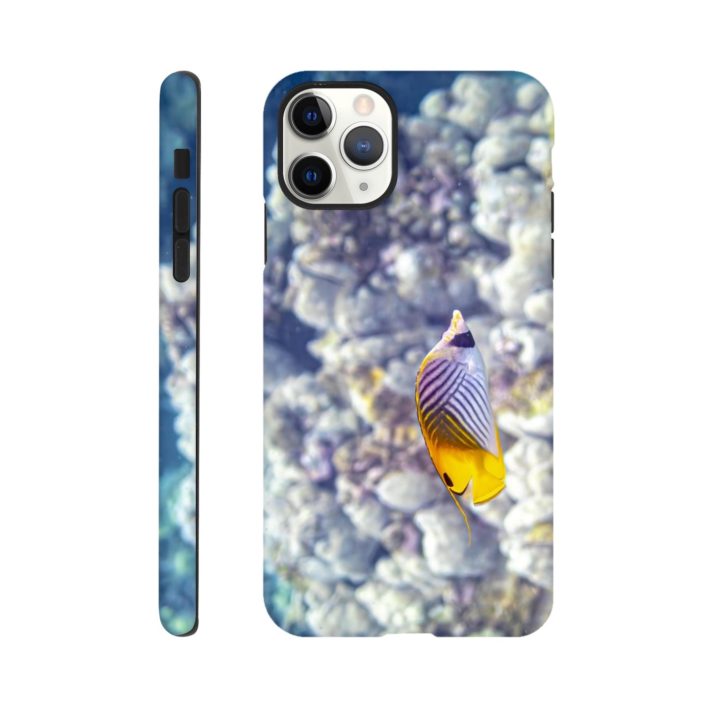 47fc3f04-3e1d-4a6c-9d9f-23fa92001f01